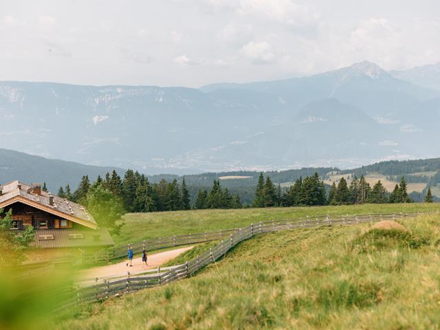 Summer, green grass, alpine hut and hikers, view of mountains