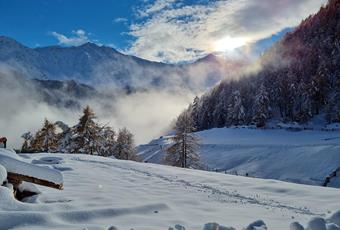 Webcam - Val Senales