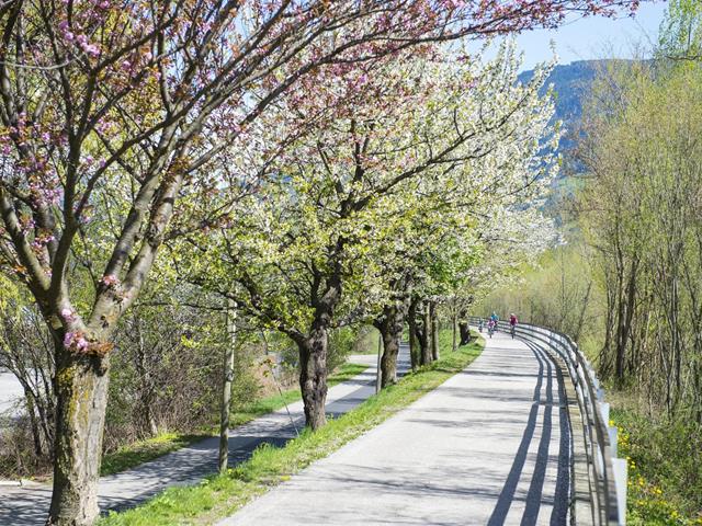 bluete-familie-etschradweg-tg-naturns-photogruenerthomas