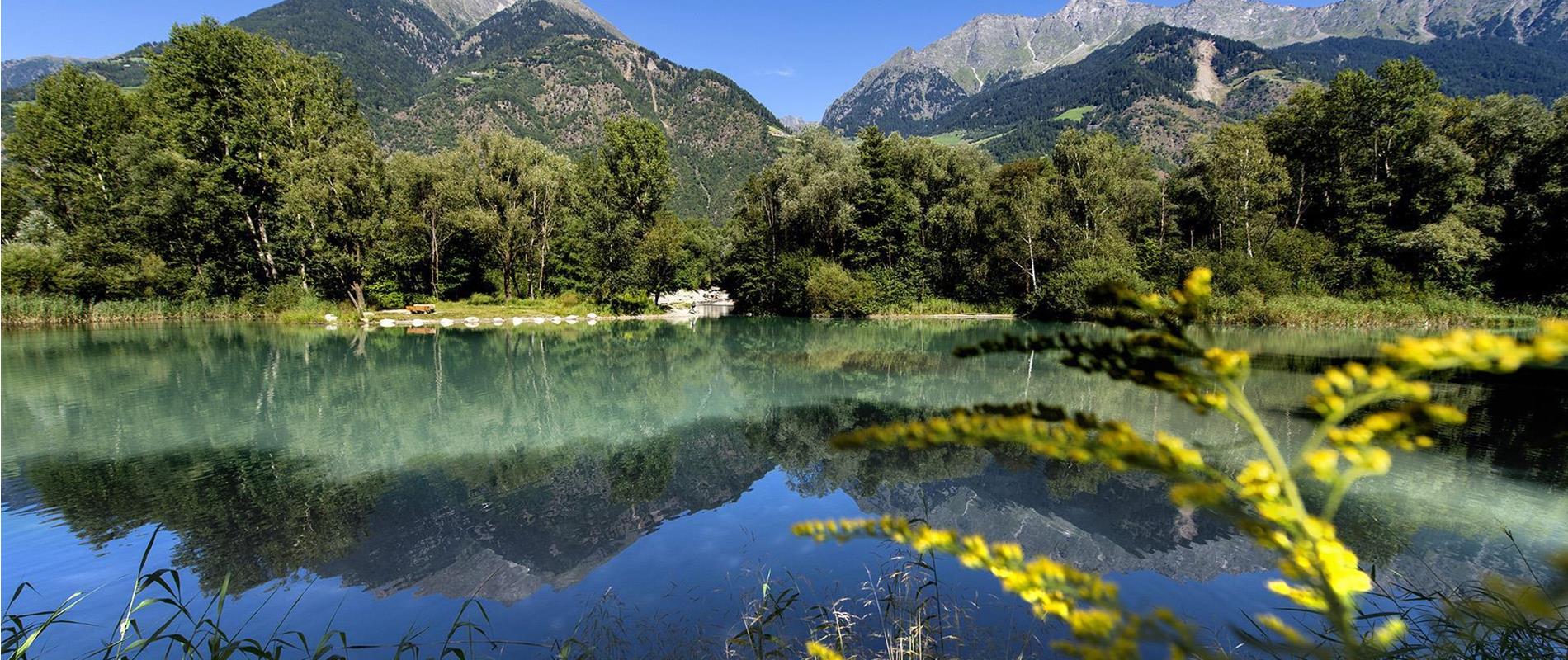 Biotop Rabland bei Partschins