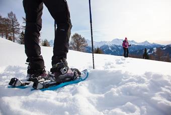 Sneeuwschoenwandelen