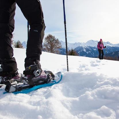 Sneeuwschoenwandelen