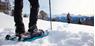 Schneeschuhwandern