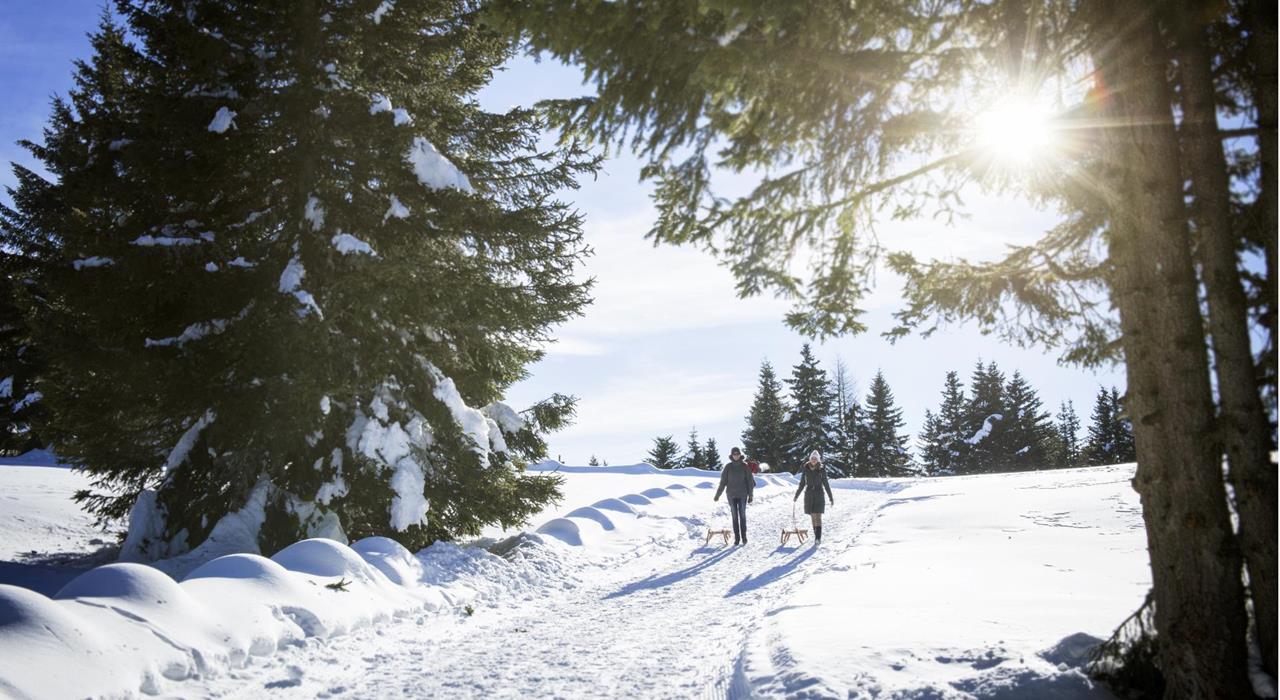 Winter-Vigiljoch-Skifahren-Lana-und-Umgebung-af