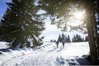 Skifahren in Partschins