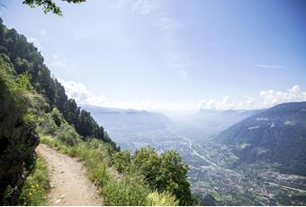 Sunny Mountain Trail