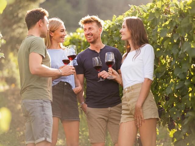 tv-marling-armin-terzer-weinberg-geselligkeit-genuss-bearbeitet-260325105742-3