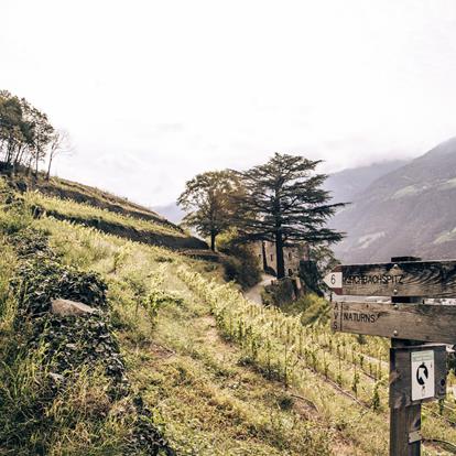 Hiking Areas in Naturno