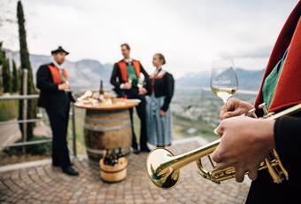 VinoCulti