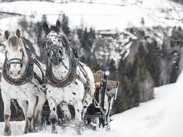 Reiten-Pferdeschlittenfahrt-Hafling-Voeran-Meran2000-mk