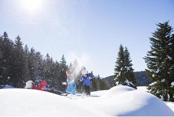 Excursions in South Tyrol