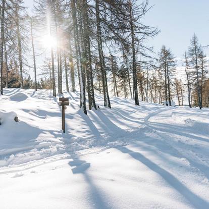 Wanderwege in Hafling-Vöran-Meran 2000