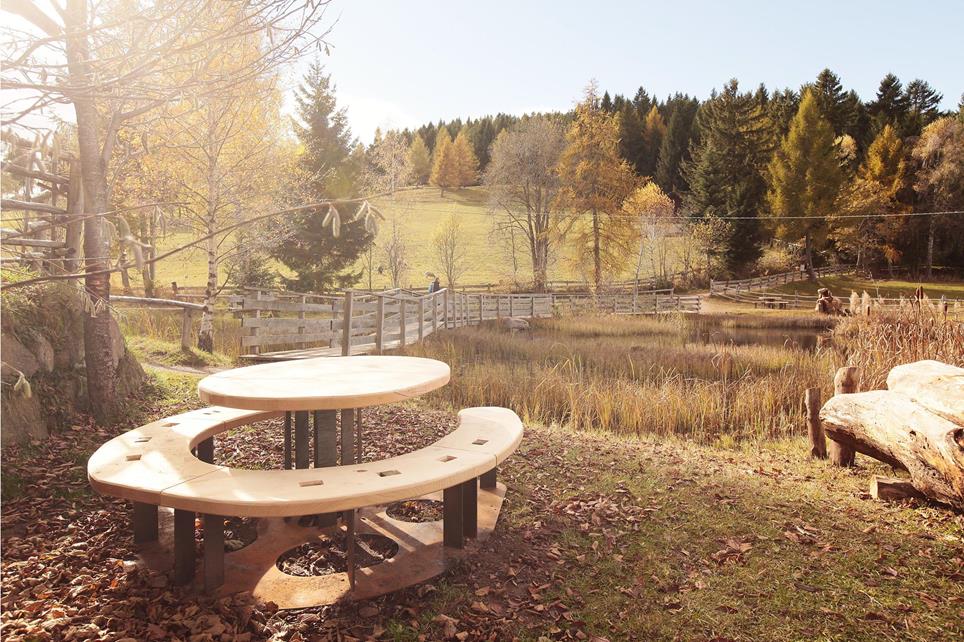 2025-10-26-rastplaetze-voeran-mg-8189-martha-pircher