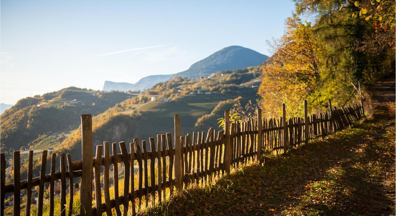 Herbstwanderungen rund um Meran in der Region Lana