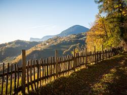 lanaregion-it-patrick-schwienbacher-152