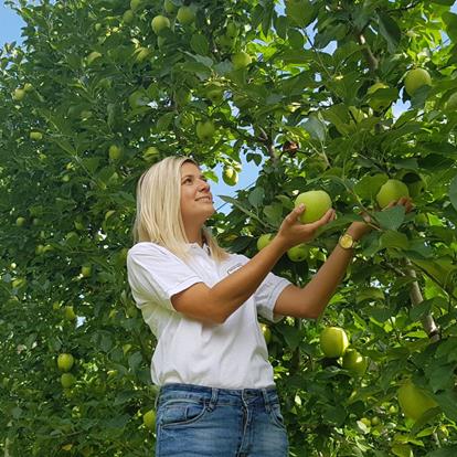 Giuded apple tours at the Grieserhof