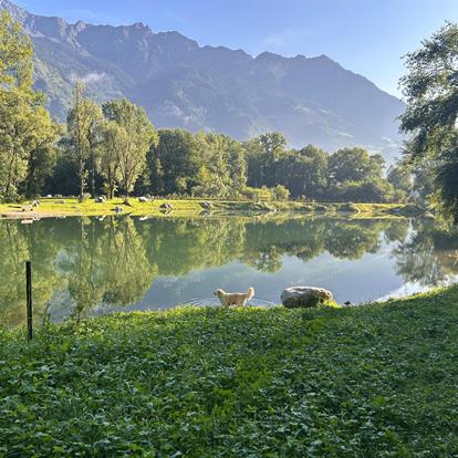 Laghetto di Rablà