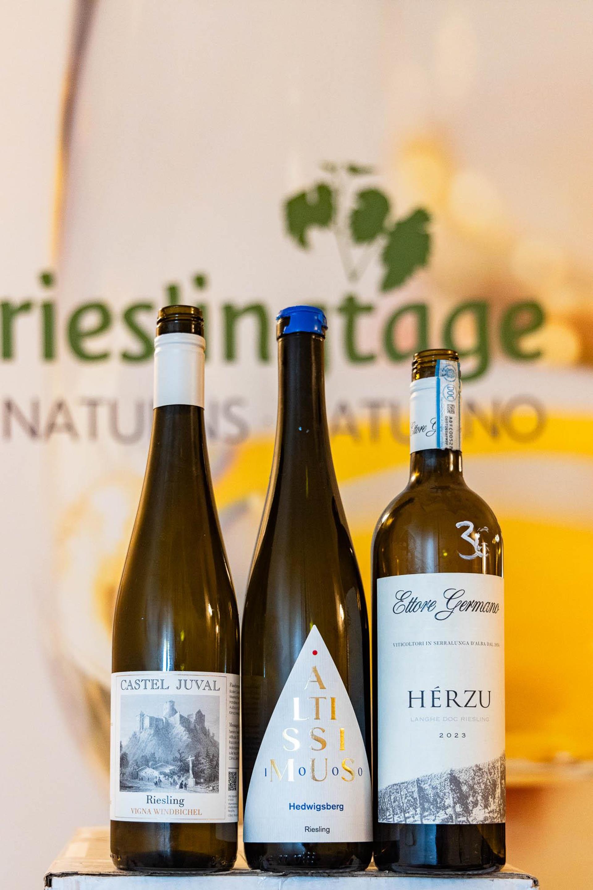 praemierung-2025-merano-winefestival-sieger-tg-naturns-santer-peter-12