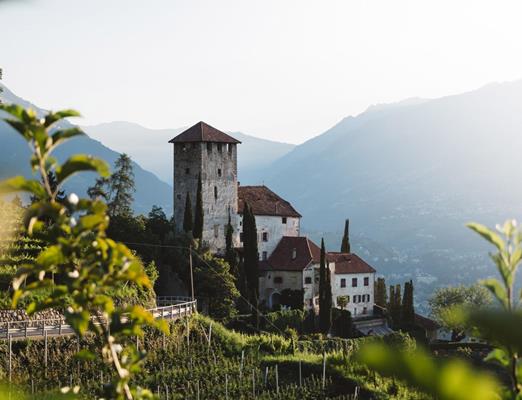 schlosslebenberg01