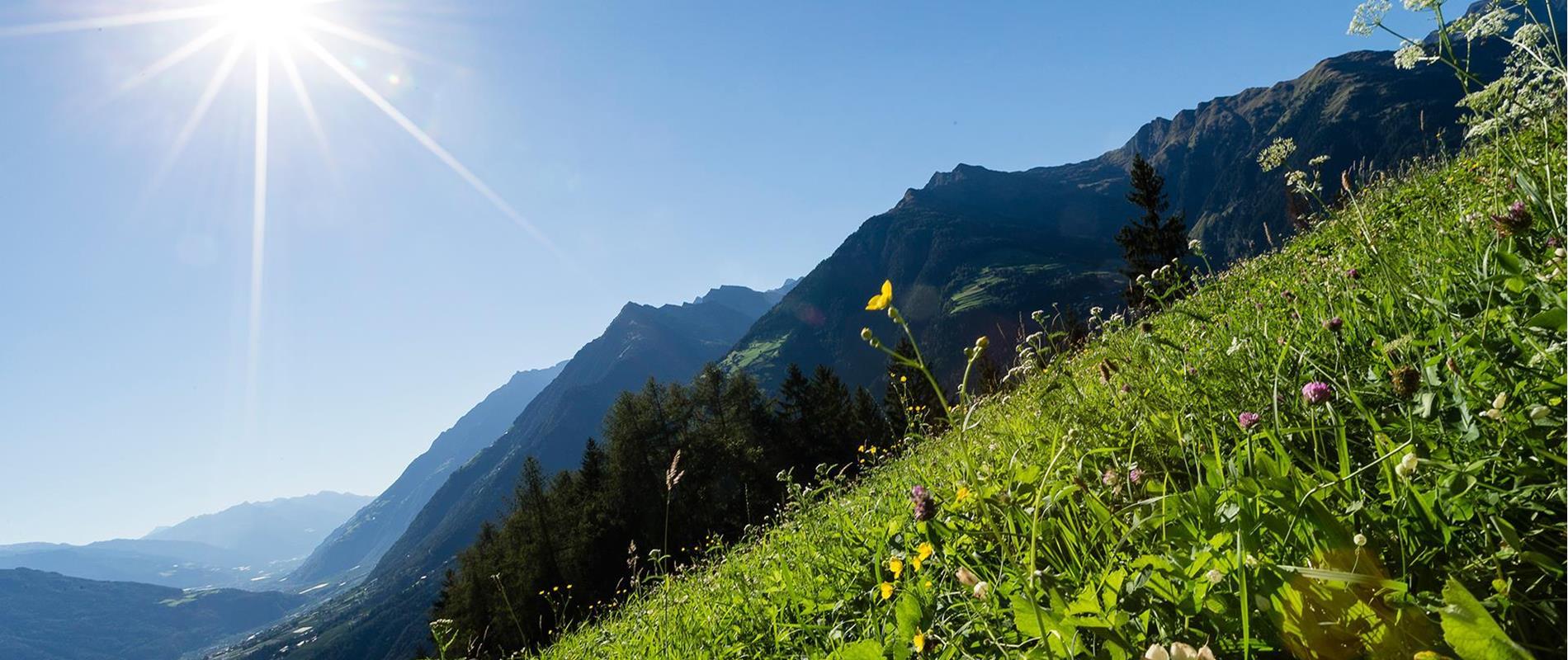 Information zum Wetterbericht