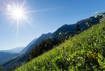 Previsioni meteorologiche