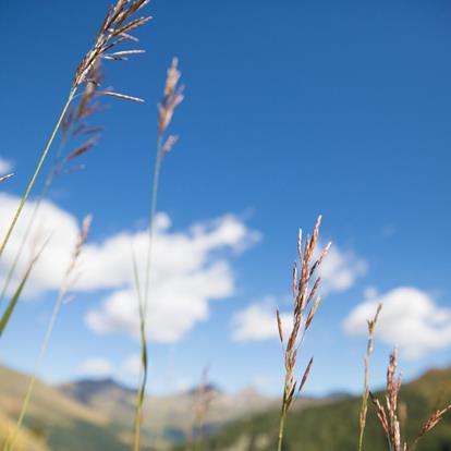 Weather in Passeiertal Valley