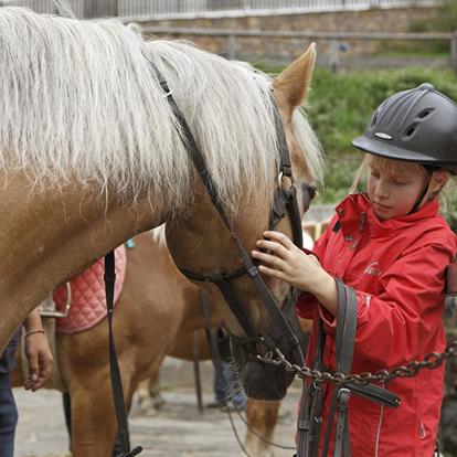 Different riding stables are located in Hafling and Vöran