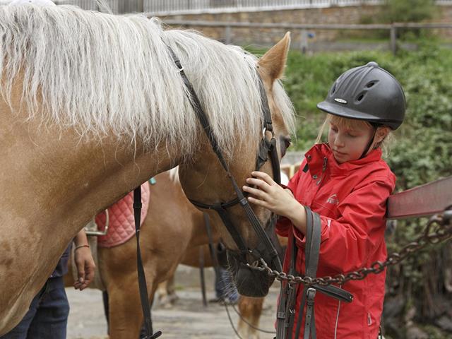 Different riding stables are located in Hafling and Vöran