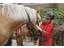 Horse-riding-Riding-stables-Avelengo-Verano-Merano2000-fb