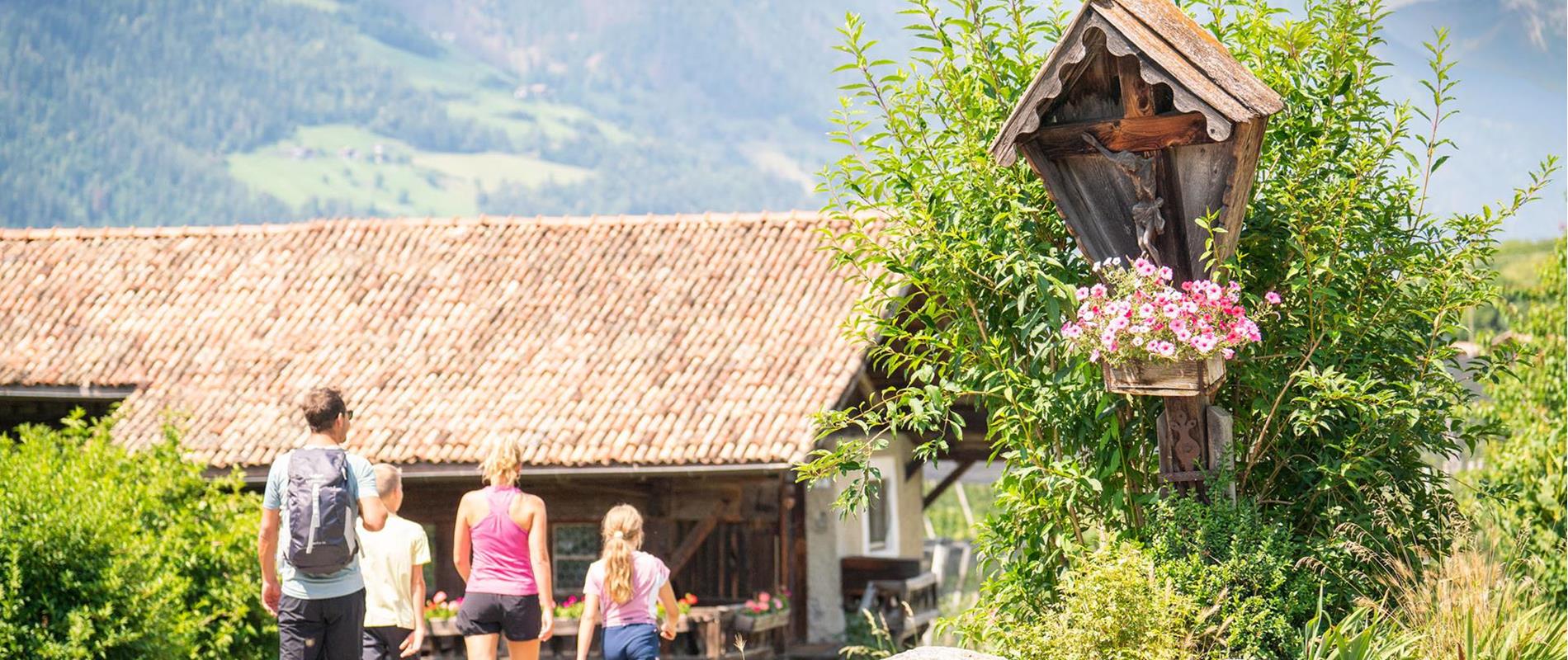 Hiking in cultural landscapes & walking trails