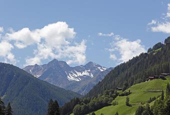 Webcams in de Ultental