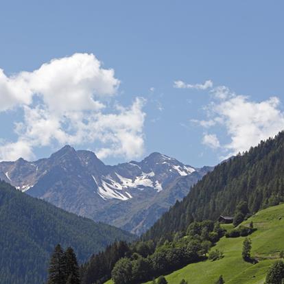 Webcams in de Ultental