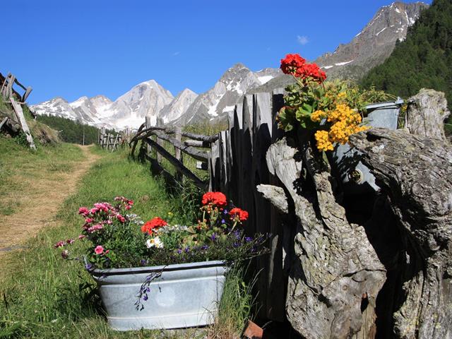 Aktivurlaub-Meraner Höhenweg Wandern Pfossental Vorderkaser-Partschins-TV