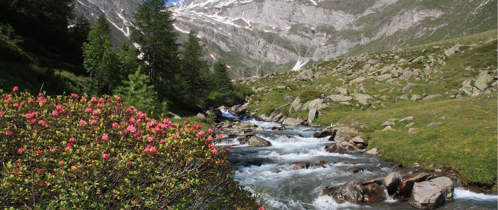 Le 6 tappe dell’Alta Via di Merano da Parcines