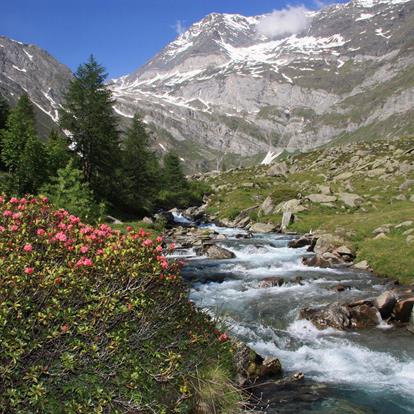 6 day stages on the Merano High Mountain Trail from Parcines