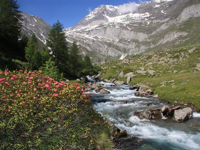 Aktivurlaub-Meraner Höhenweg Wandern Etappe Pfelders Lazins-Partschins-TV