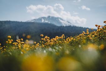 Mindful in the mountains and valleys