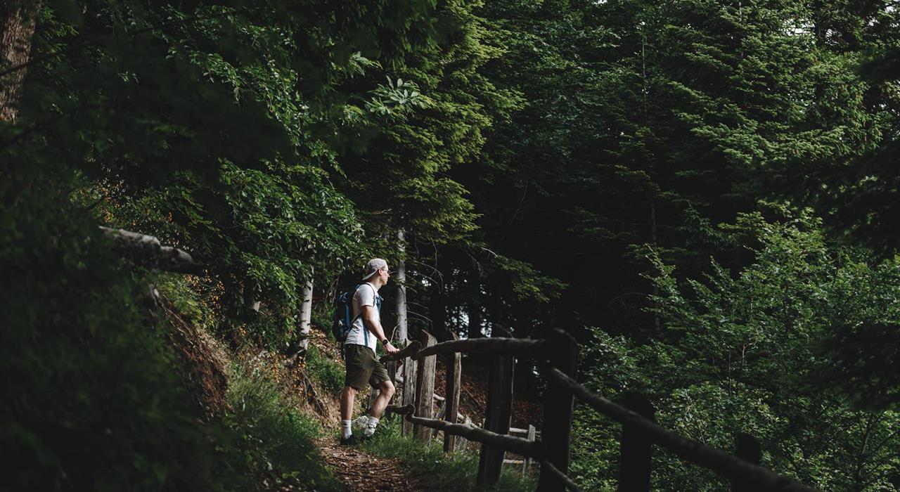 aktiv-wanderwege-lana-und-umgebung-mw