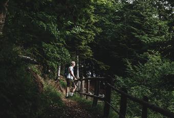 Wandelwegen