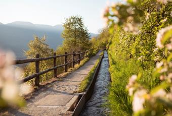 Sentieri della roggia presso Naturno