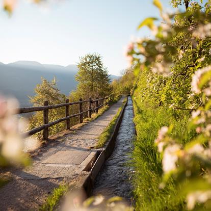 Waalwege im Vinschgau bei Naturns