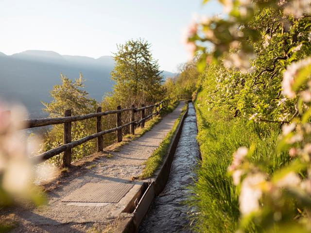 wandern-marlinger-waalweg-tg-naturns-idm-patrick-schwienbacher-1