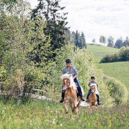 Paardenevenementen in Hafling, Vöran en Meran 2000