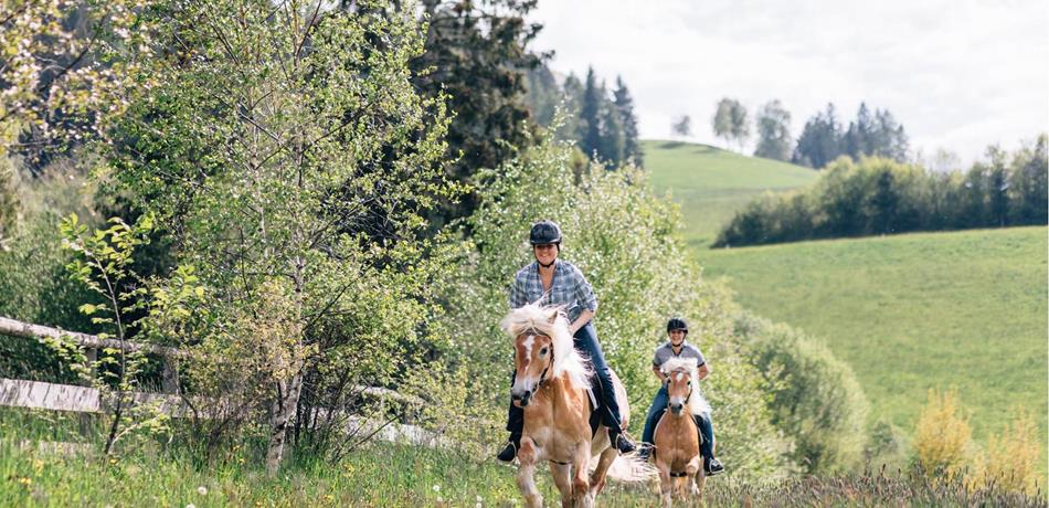 Vakantie in Hafling, Vöran en Meran 2000