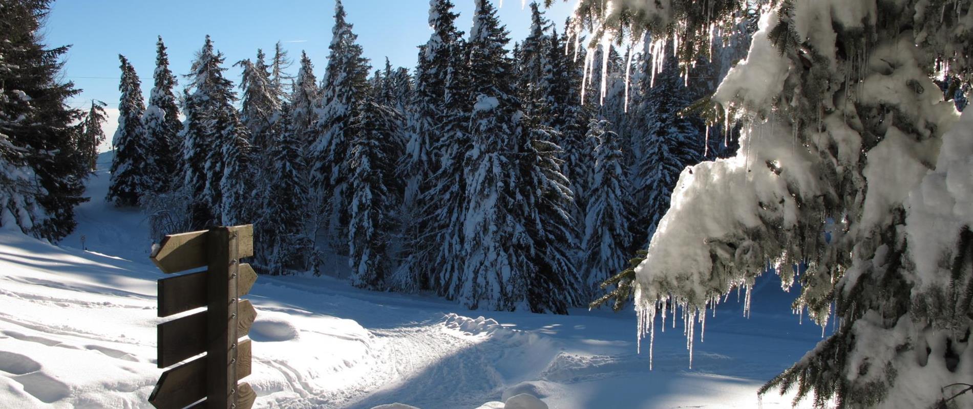 Escursioni invernali a Parcines