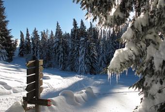 Winter Hikes in Parcines