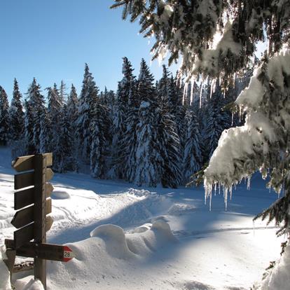 Winter Hikes in Parcines