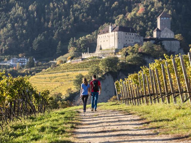 hannes-niederkofler-herbstwandern-1