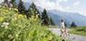 BusCard Merano e dintorni