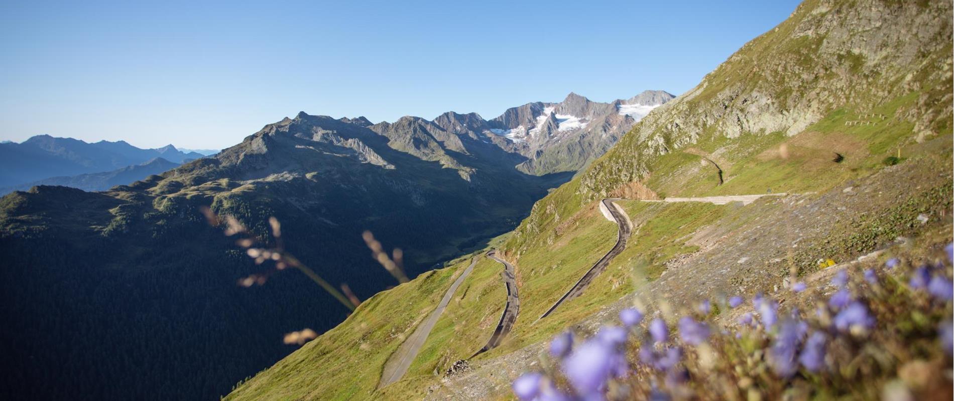 Il servizio di bikeshuttle in Alto Alto Adige